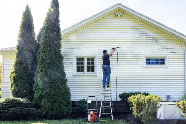 Trusted South Zanesville, OH Pressure Washing Services Experts